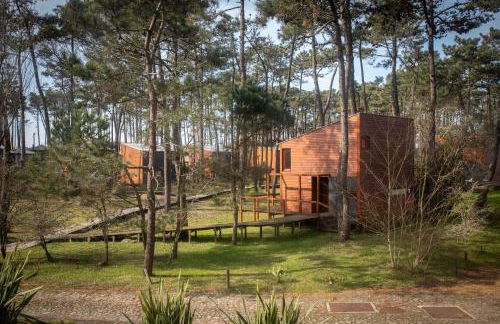 Bungalow B2 - Nature, Beach & River - Photo 35