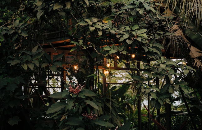 Las Cabanas - Foto 55