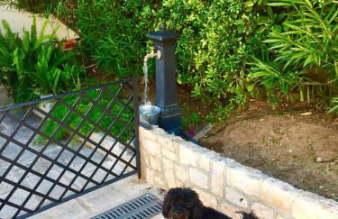 Le Due Pigne - Foto 80