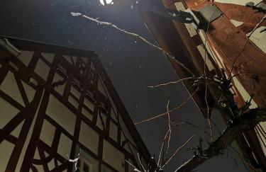 Ferienhaus zur Weinfee - Foto 50