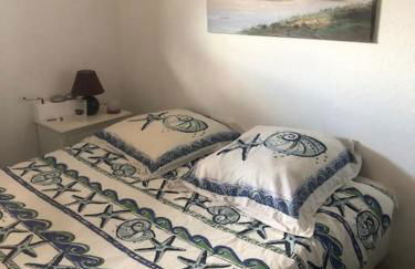 Le Marlin du Phare du Ferret - Foto 10