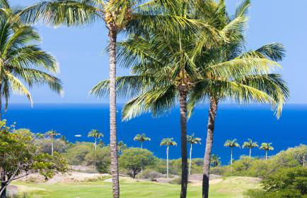 ❤PiH❤ A Sea-nic Escape Stunning Ocean View Mauna Kea Resort eBikes - Foto 28