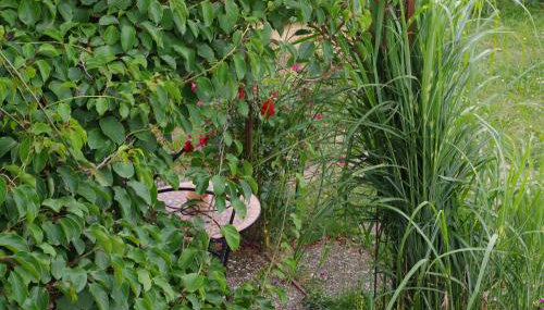Ferienwohnung Bischoff - Foto 4, Garden