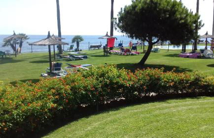 Mi Capricho - Photo 41