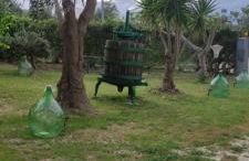 La Fattoria dei Desideri - Foto 8