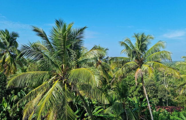 Villa Talpe Inviting 5 Bedrooms & Massage Pool - Photo 40