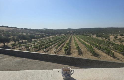 Casas do Monte - Foto 15