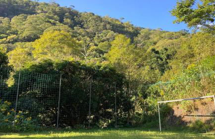 Chalé Laranja - Sítio Caldeirão - Foto 43