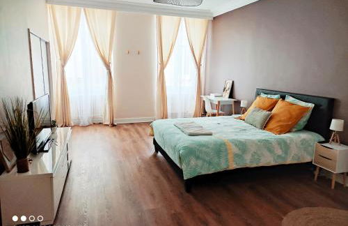 157m2, 4 chambres, 4 salles de bains, 2 WC, 2 parkings en hypercentre - Foto 2