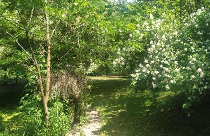 Relaks w boberkach Prywatna sala do Bilarda - Foto 57