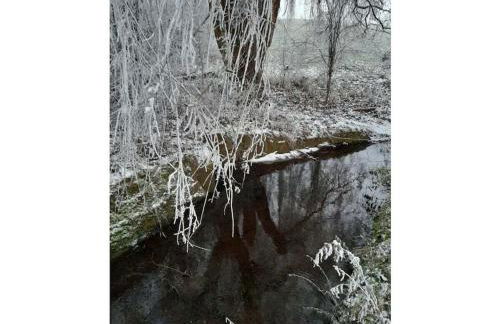 Josephine Zöller House - Foto 8