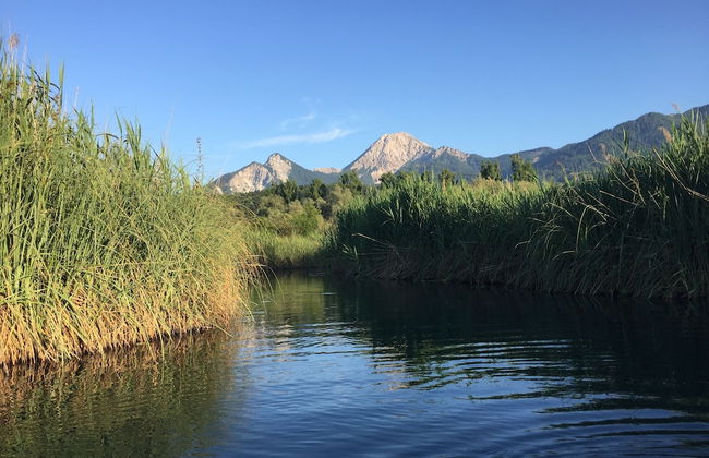 Parkweg Lodge - Foto 44