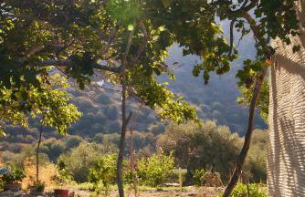 Oak Farm Traditional guesthouse - Foto 42