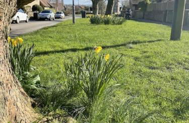 HEBE COTTAGE - Idyllic and homely with attention to detail - Foto 17