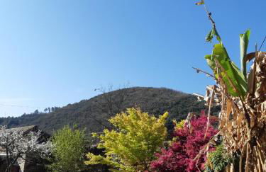 Gîte cévenol avec SPA et Piscine privatifs - Foto 19