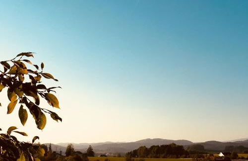 Ferienhaus mit Seeblick - Foto 14