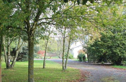 Gîte Rêve de Pomme - Foto 24