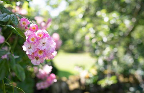 West Cottage, Southlands Farm, Gunnerton - Foto 18