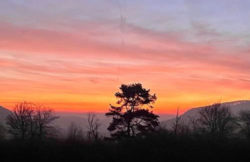 Ferienwohnung Ameis - Foto 12