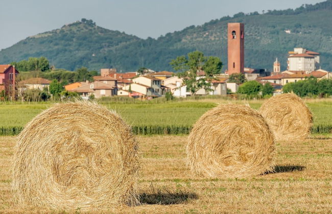 Tenuta Santa Colomba - Foto 54