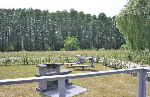 Seeschwalbe Classic 319 - Foto 12