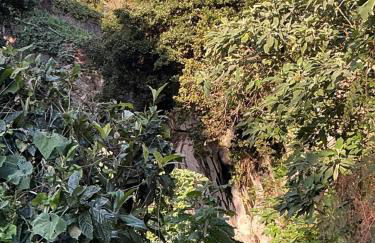 Casa Žerotín - Foto 42