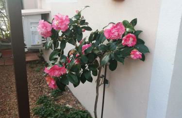 Domus Eleonora a due passi dal mare - Foto 16