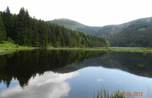 Gästehaus Schmalzreich - Foto 24