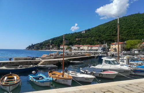 Kvarner Apartments - Mošćenička Draga - Photo 18