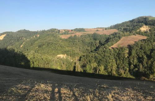 Pizzicalaluna Agriturismo Olistico sulle Colline di Pianoro - Photo 41