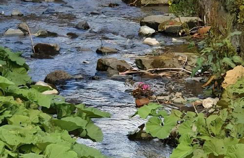 Vakantiewoning Ferienwohnung Paula Sauerland - Foto 27