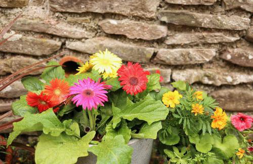 Pet-Friendly Logburner Horse Stable Views - Foto 23