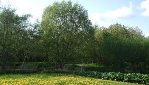 Ferienwohnung Hyggebo - Photo 2, Garden