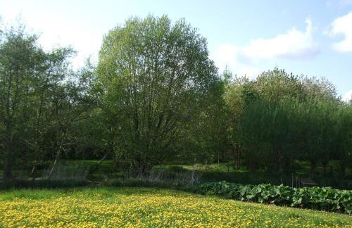 Ferienwohnung Hyggebo - Foto 2