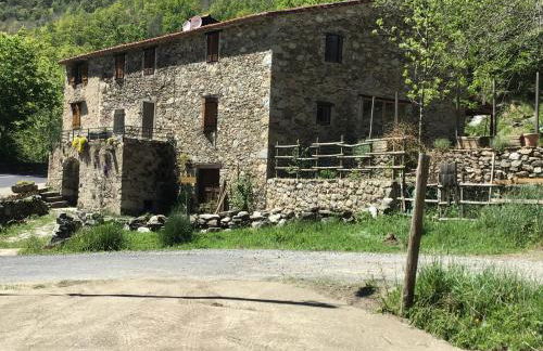 Mas Graffouil - Foto 77