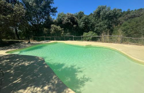 Antiguo Molino con piscina y chimenea en el valle del Tietar - Foto 4