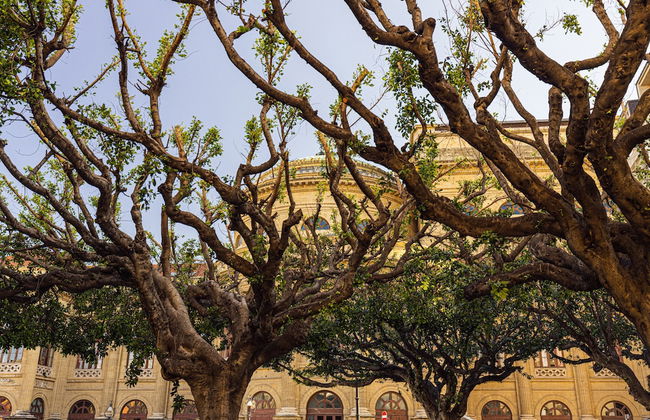 Solemar Sicilia - Palazzo Massimo - Foto 48