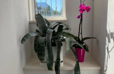 Apartments Nevenka i Josko - Foto 11