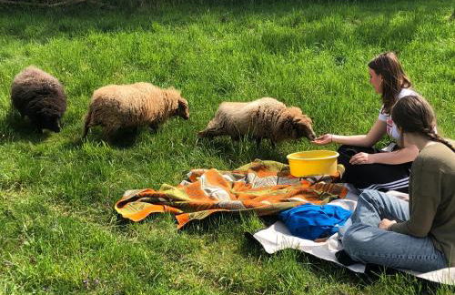 Wilde Möhre Bauwagen Sommerküche Draussen Abenteuer - Photo 30