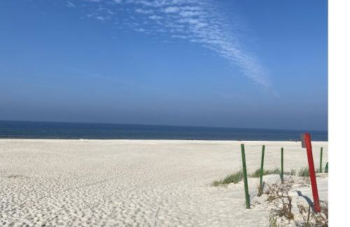 Golden Apartment Rogowo - Foto 36