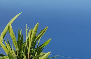 Casa Los Viñedos B - Foto 8