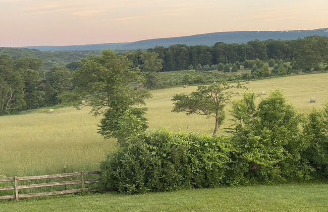 Chestnuthill Countryside Manor - Photo 25