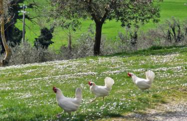 Agriturismo Val della Pieve - Foto 30