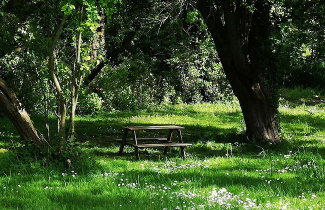 Landhaus Kaisershof - Foto 28