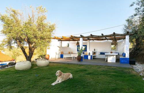 Monte Frecae - Foto 5