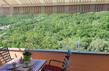 Diana Apartman - Photo 14