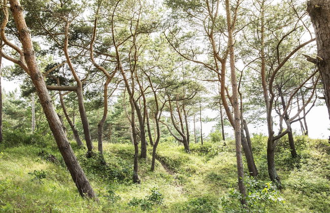 Ferienwohnungen Dünenmeer - Foto 45