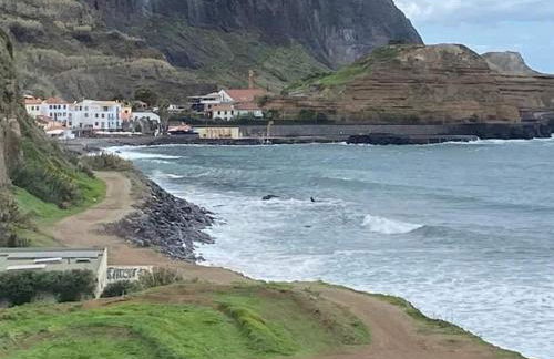 caminho da praia da maiata - Photo 17