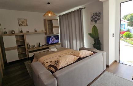 Lower Floor In Flor do Campo - Santana - Foto 23