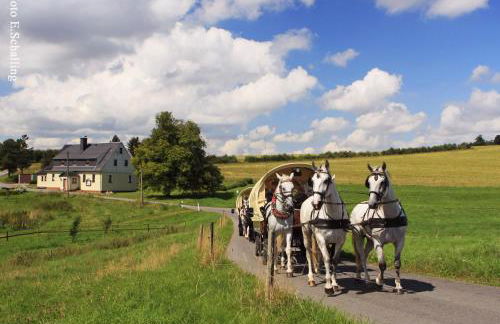 Ferienhaus Erzgebirge "An der Trebe" mit Kamin und Sauna - Photo 43